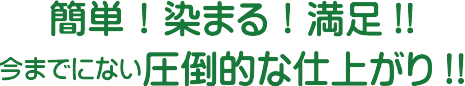 簡単！染まる！満足!!今までにない圧倒的な仕上がり!!